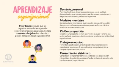 por que es importante la organizacion en el aprendizaje